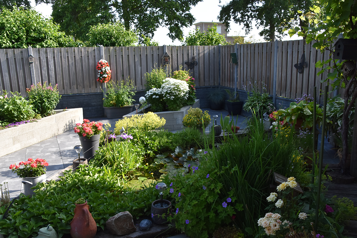 2018_06_TUIN_JUNI_069