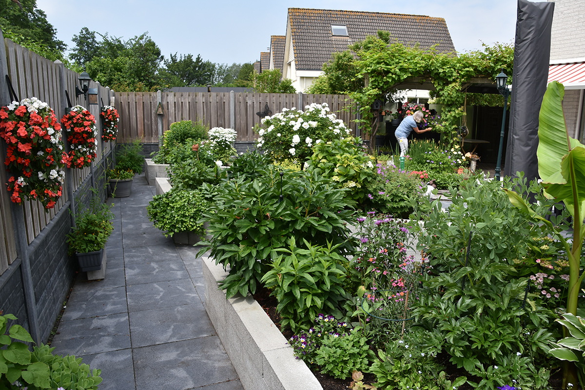 2018_06_TUIN_JUNI_015