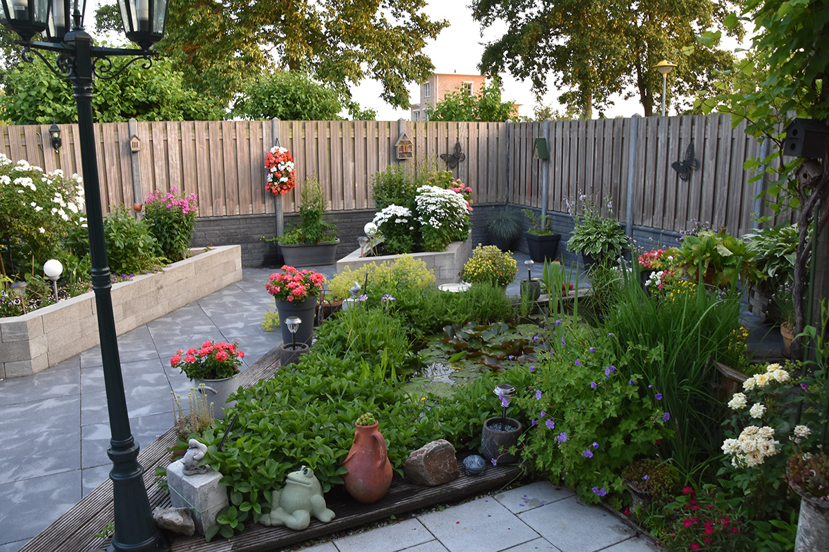 2018_06_TUIN_JUNI_084