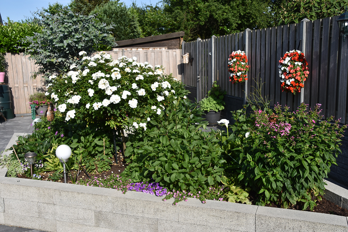 2018_06_TUIN_JUNI_067