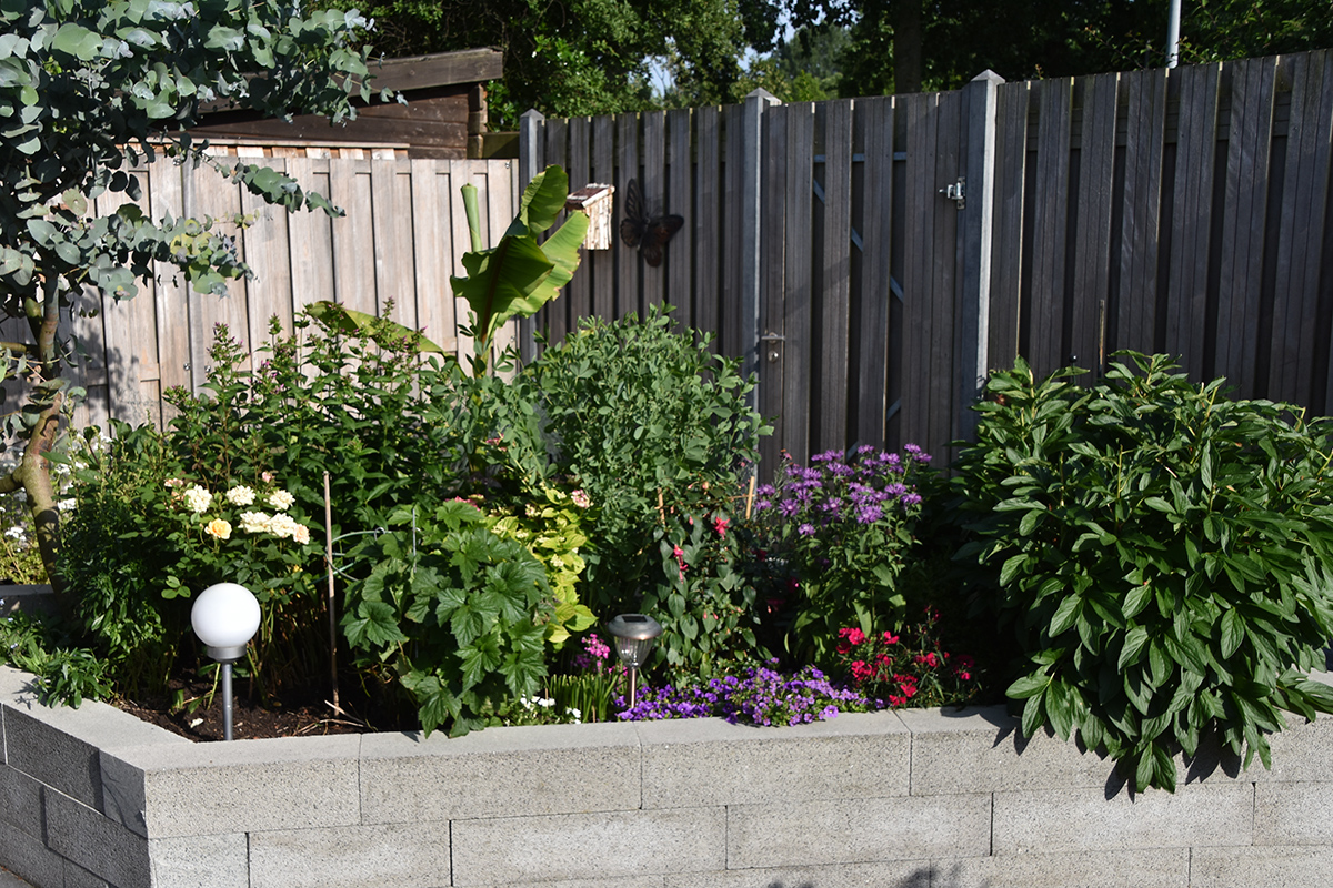 2018_06_TUIN_JUNI_068
