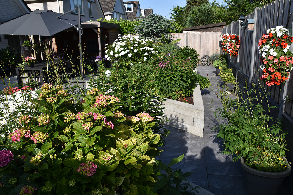 2018_06_TUIN_JUNI_065