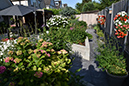 2018_06_TUIN_JUNI_065